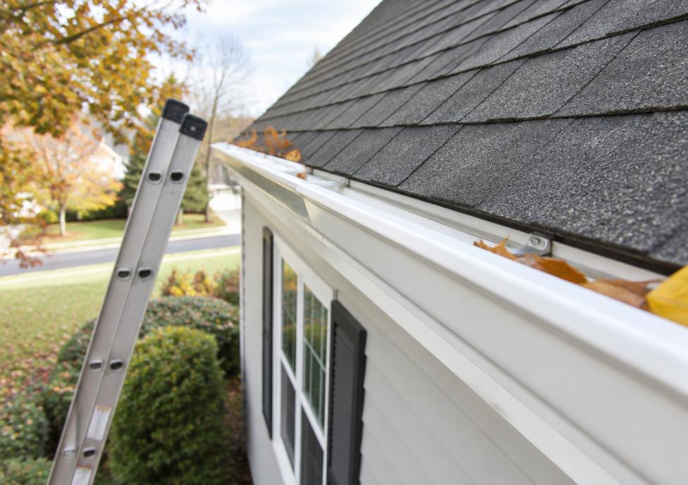 Clean roof gutter with a ladder nearby